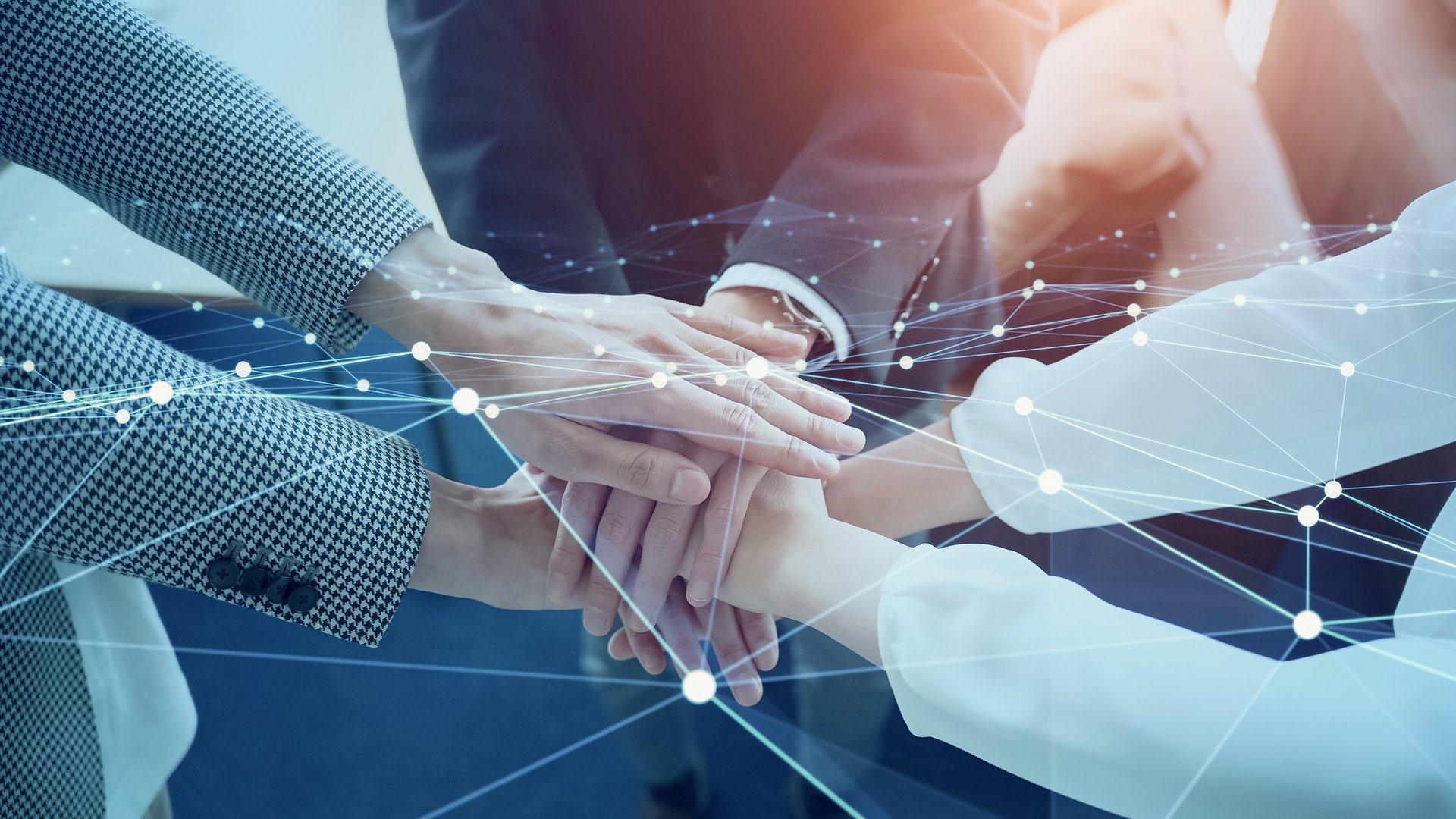 Business network and teamwork collaboration